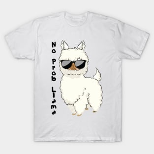 No probllama if you have Llama T-Shirt